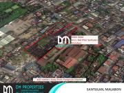 For Sale: 9,003 sqm Vacant Lot in Santulan, Malabon