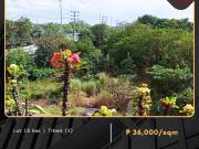 For Sale: Agricultural Lot located at Banga Meycauayan...