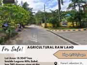 For Sale: Agricultural Raw Land located at Pansol...