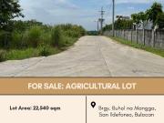 FOR SALE Agricultural Vacant Lot located at Brgy. Buhol...
