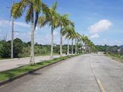 For Sale Alveo's New Residential Lots facing Mt....