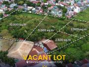 FOR SALE AND FOR LEASE VACANT LOT IN NAVAL ST. SAUYO...