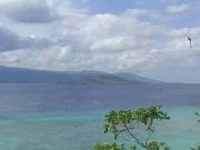 For Sale Beach Lot in Basdiot,Moalboal Cebu