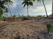 For Sale: Beachfront Lot in Pacifico, Siargao Island P174M