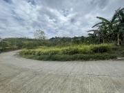 For Sale Big Lot in La Montana Estate Sumulong Highway...