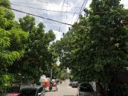 FOR SALE: Brand New 2 Storey Townhouse in Camarin,...