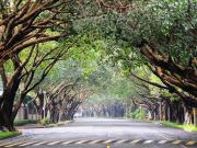 For Sale House and Lot San Miguel Village Makati City