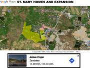 FOR SALE Commercial in Barangay Asinan, Subic, Zambales SM30