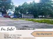FOR SALE Commercial Lot located at Brgy. San Martin de...