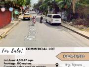 FOR SALE Commercial Lot located at Kingspoint Subd Brgy....