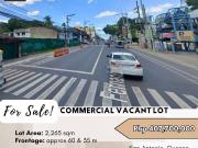 FOR SALE Commercial Lot located at San Antonio, Quezon City