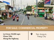For Sale Commercial Lot located at San Joaquin, Pasig City