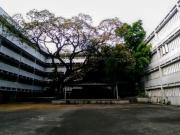 FOR SALE Commercial Prime Property in Aurora Blvd Quezon...
