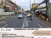 For Sale: Commercial Vacant Lot located along Gen. Luis...