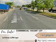 FOR SALE Commercial Vacant Lot located at Brgy. Ugong,...