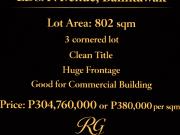 For Sale: Corner Lot EDSA Avenue, Balintawak