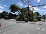 FOR SALE: ELIZALDE AVE CORNER VINZONS ST. BF HOMES...