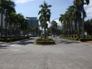For Sale: Exceptional Prime Corner Lot in Ayala Alabang...