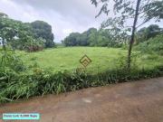FOR SALE Farm Lots near Anvaya Cove, Morong Bataan SM60