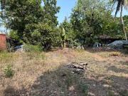 FOR SALE Fenced Residential Vacant Lot in Ayala Alabang...