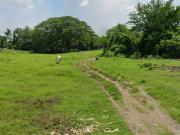 FOR SALE Flat Land with minimal slope in San Jose Del...