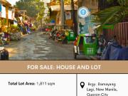 FOR SALE: House and Lot in Brgy. Damayang Lagi, New...