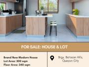 FOR SALE house and lot located at Brgy. Batasan Hills,...