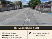 FOR SALE House and Lot located at Brgy. Santo Domingo,...