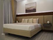 For Sale House and Lot Near Clark Fully Furnished Smart...