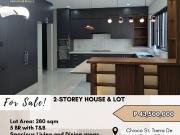 For Sale: House & Lot in Tierra De Maria Village, BF...