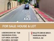 FOR SALE House & lot located in Brgy. Mariana, New...
