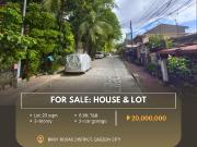 For Sale: House & Lot located in Brgy Roxas District,...