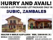 For sale: house zambales