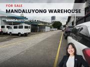 FOR SALE Income Generating Mandaluyong Warehouse Lot... FOR SALE Income Generating Mandaluyong Warehouse Lot...