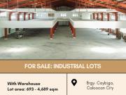 FOR SALE: Industrial Lots located at Brgy. Caybiga,...