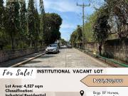 FOR SALE Institutional Vacant Lot located at Brgy. BF...