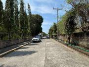 FOR SALE Institutional Vacant Lot Stepping Stone, Brgy....