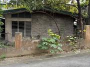 For Sale l 381 sqm House & Lot in New Manila Betty Go...