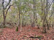 For Sale Land Ides Common Ides Common DS95489323