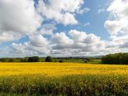 For Sale Land Lancs Wigan DS96017357