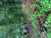 For Sale Land North Yorkshire North Yorkshire DS90179452