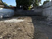 For Sale: Lot Area in BF Homes, Parañaque For Sale: Lot Area in BF Homes, Parañaque