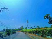 For Sale Lot in Alta Vista Pardo Cebu City