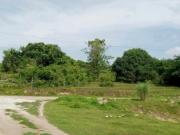 FOR SALE Lot in San Jose, Tarlac