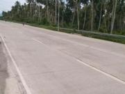 For Sale Lot in Tagum City along highway near DPWH