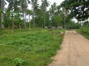 For sale: lot / land / farm abra