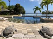 FOR SALE: Lot / Land / Farm Batangas