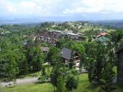 FOR SALE: Lot / Land / Farm Batangas