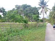 FOR SALE: Lot / Land / Farm Bohol >Tagbilaran