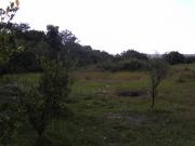 FOR SALE: Lot / Land / Farm Bulacan